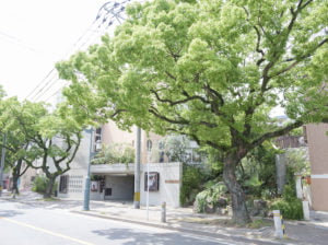 香椎参道沿い原田写真館外観