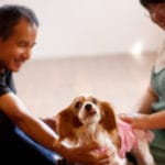 犬と一緒に夫婦写真