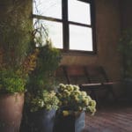 サブスタジオのドライフラワー