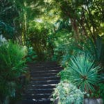 枕木階段と植物